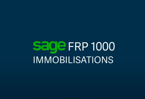 sage 1000 immobilisation